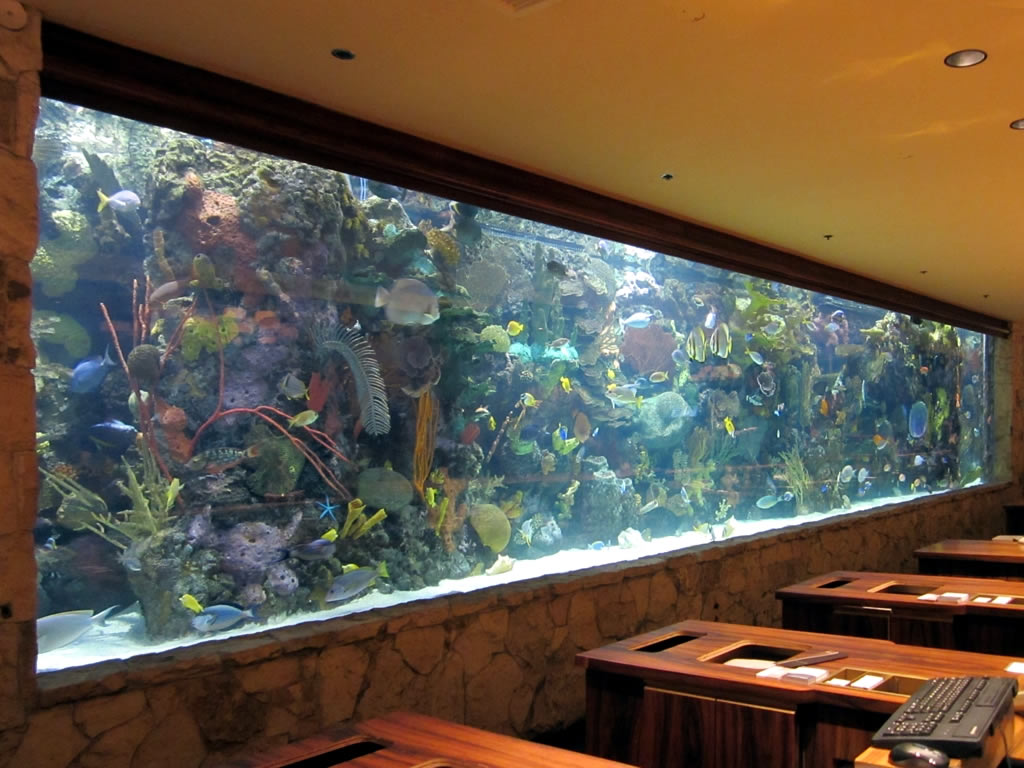 The aquarium at The Mirage
